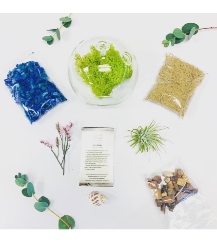 The Heart Company- DIY take home Air Plant Terrarium