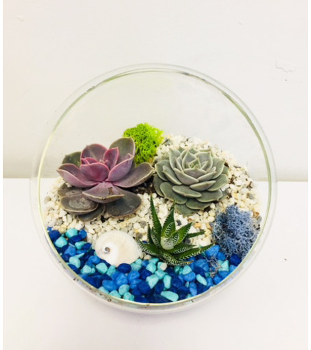 The Heart Company- Glass Stand Succulents - Beach Theme