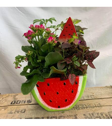 Watermelon Planter Garden