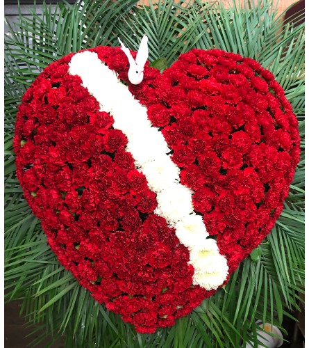 Carnation Broken Heart
