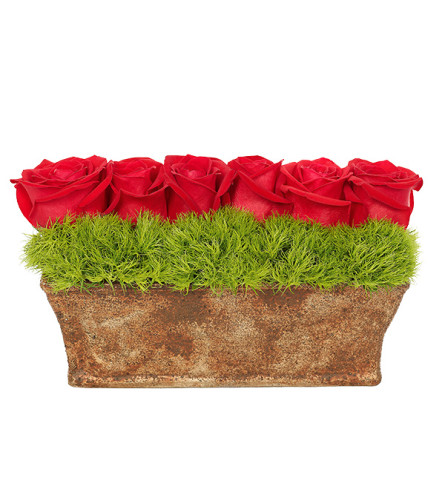 Posh Rose Garden by Bloomnet at Bow River Flower Atelier