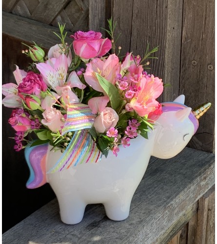 Unicorn's are Magical