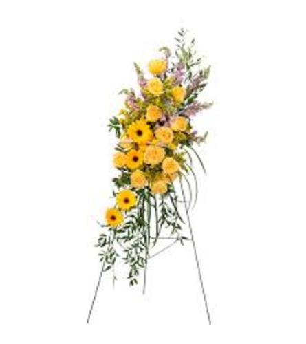 Vivid Memory Standing Spray
