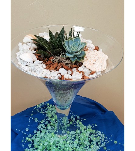 Martini Succulent