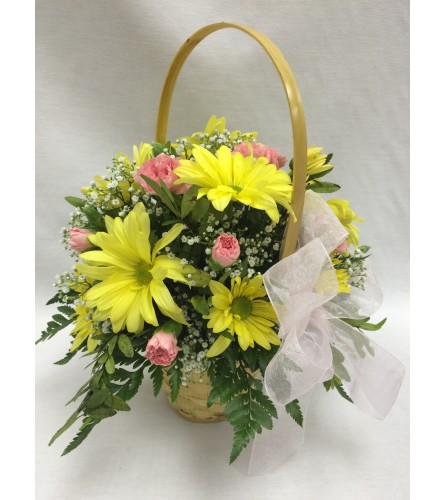 Dainty Daisy Basket