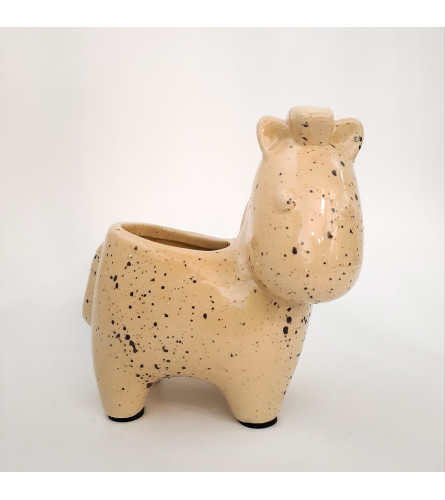 Yellow Zebra Pot
