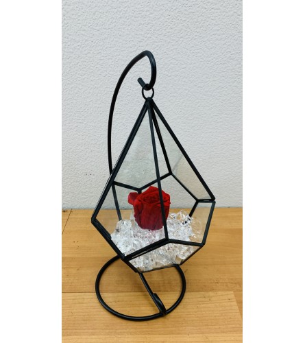 Preserved Ecuadorian Red Rose