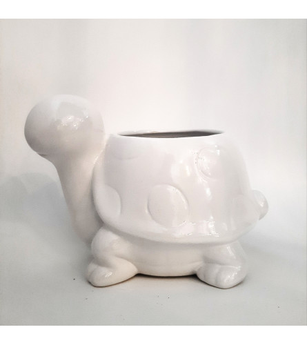 Turtle Pot
