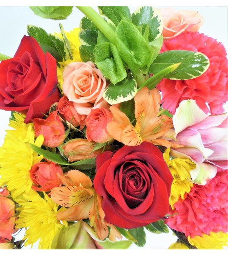 Florist Choice Special