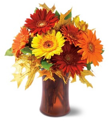 Teleflora's Autumn Gerberas Vase Arrangement