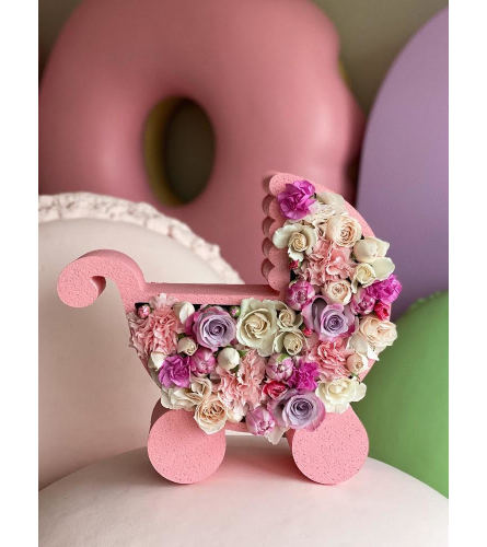 Baby Girl Carriage