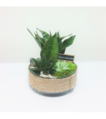 Burlap Bliss Succulent Planter