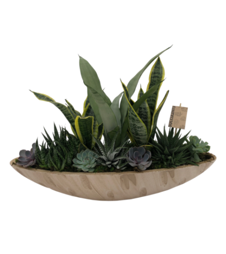 X-Large Succulent Planter