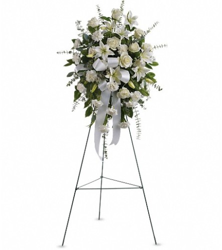 Sentiments of Serenity Spray by TF