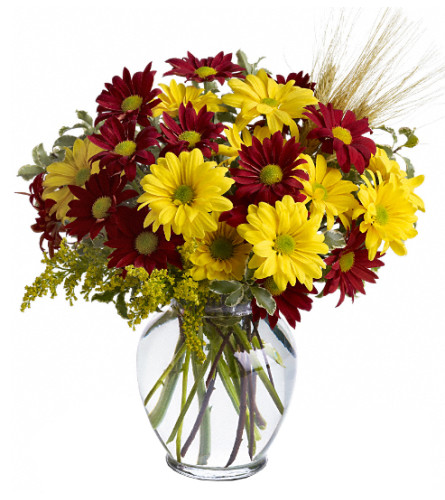 Teleflora's Fall For Daisies Vase Arrangement. An arrangement by Balloon Bouquets Plus.
