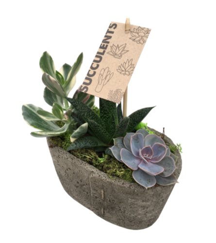 Stitched Succulent Planter