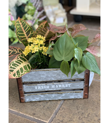 Fresh Market Planter Box