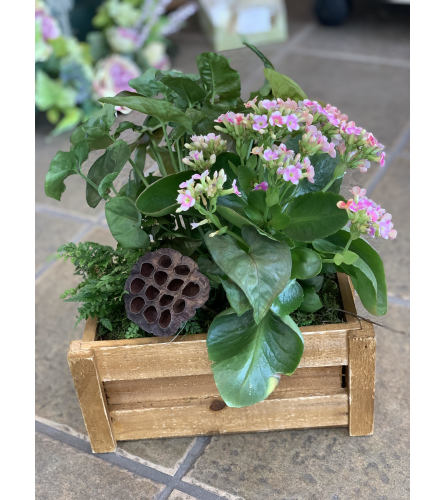 Thatcher Wooden Planter Box