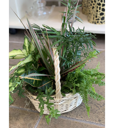 Beach Planter Garden Basket