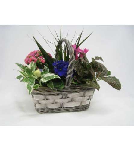 Happy garden Basket