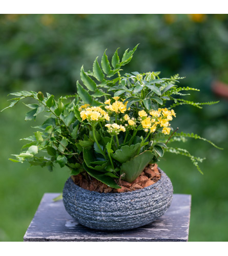 Stone Bowl Garden Planter