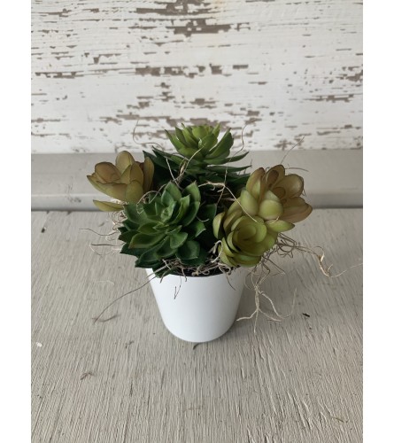 Farmhouse Tumbler with Succulent