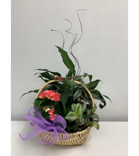 Everyday Special  Planter Basket