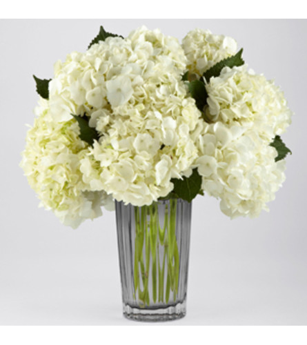 IVORY HYDRANGEA BOUQUET BY VERA WANG