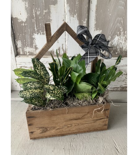 Home Planter Box