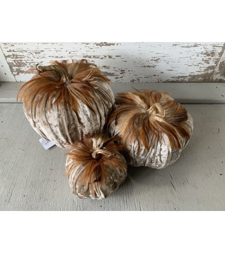 Velvet Feather Pumpkins