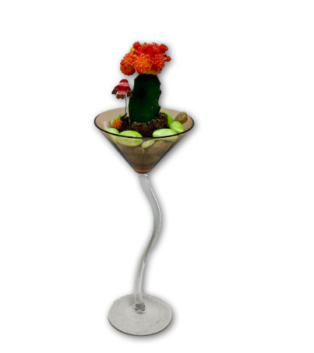 Ruby Radiance Cactus Garden in Martini Glass