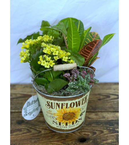 Fall Planter in "Sunflower Seeds" Pot