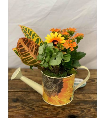 Autumn Watering Can Planter