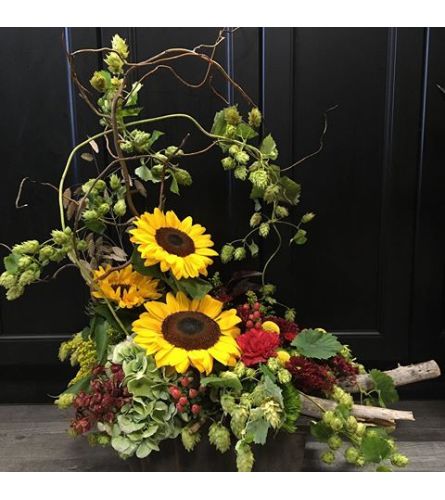 Fall Sunflowers and Hops