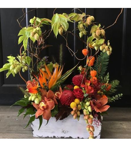 Fall Dreams Arrangement