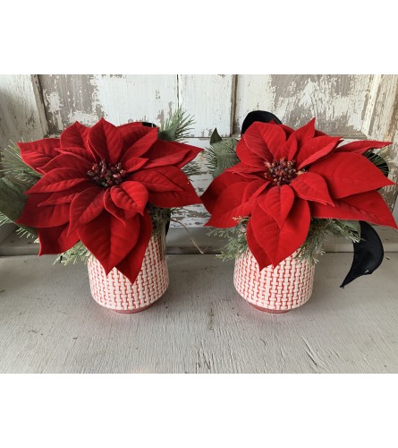 Poinsettia Sweater Arrangements