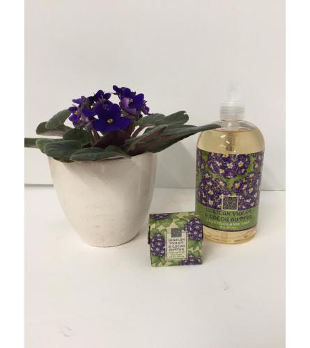 Hand Soap Gift Set - African Violet & Cocoa Butter