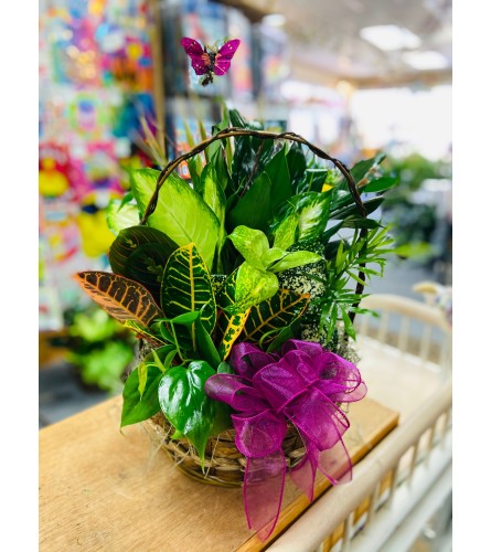 Ellington's Basket Garden - Garden Baskets and Plants Vary
