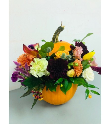 Stuffed Pumpkin Arrangement