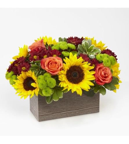 Ftd's Happy Harvest Garden by TCG