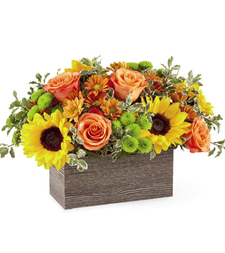Fall Garden Delight