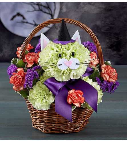 Purrfect Potions Bouquet Basket