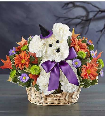 Witchy Pooch Basket