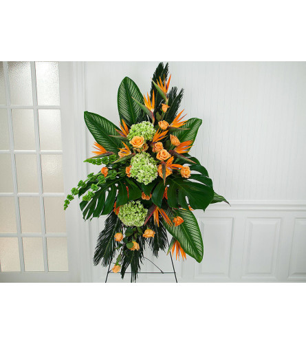 Tangerine Dream Standing Tribute
