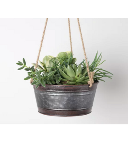 8" Metal Hanging Planter