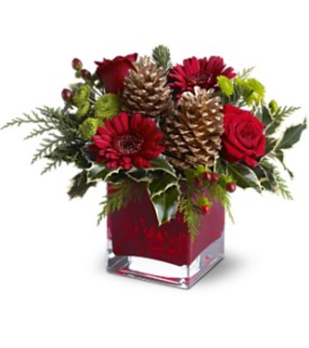Teleflora's Cozy Christmas. An arrangement by Balloon Bouquets Plus.