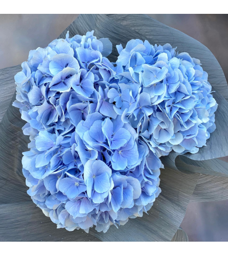 Blue hundrangea from Holland. An arrangement by Lux Flower Box.