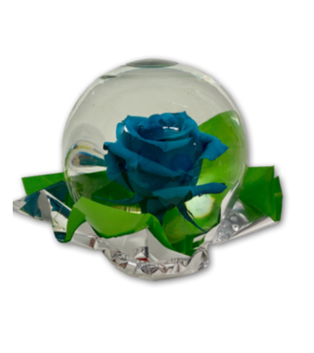 Beautiful Blue Rose in Glass Orb