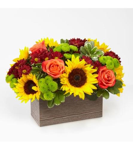 FTD Happy Harvest Garden