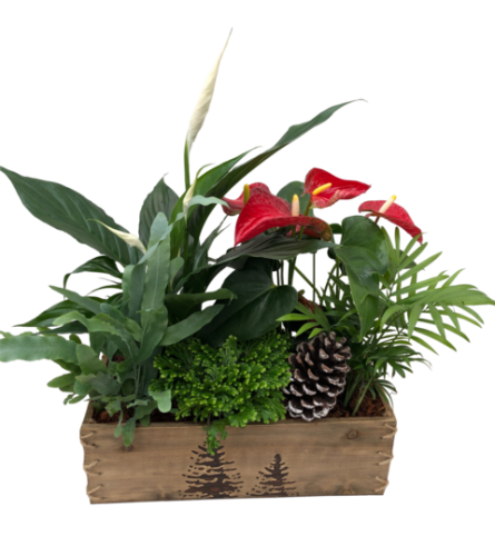 Christmas Box Planter